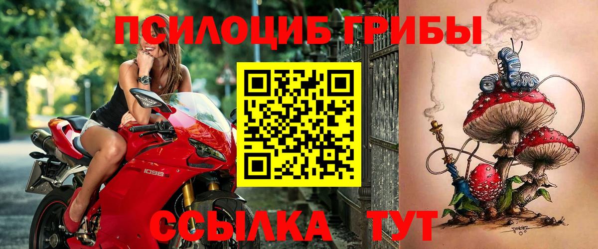 Красноярск  Галлюциногенные грибы MAGIC MUSHROOMS  сколько стоит  Псилоцибиновые грибы мицелий  Вход с VPN 