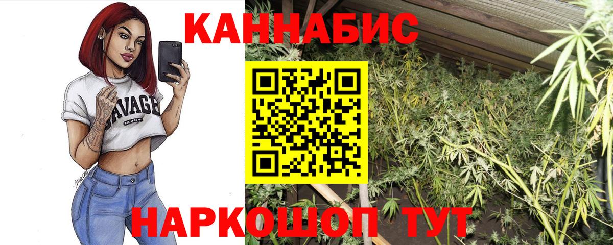 Каннабис план  Вход с VPN  Каннабис гибрид  Бошки марихуана MAZAR  Красноярск 